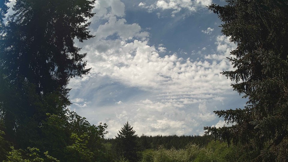 Pacific Northwest skyline timelapse frame from May 12th, 2026 at 12:30 PM