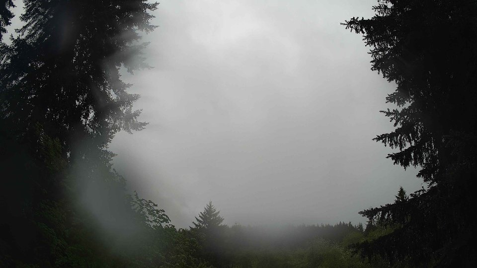 Pacific Northwest skyline timelapse frame from May 13th, 2026 at 10:00 AM