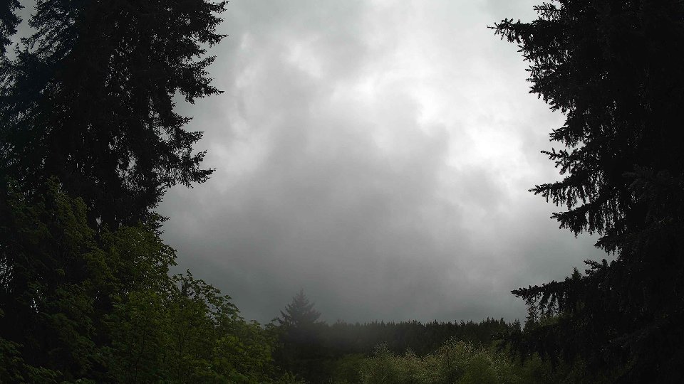 Pacific Northwest skyline timelapse frame from May 13th, 2026 at 1:30 PM