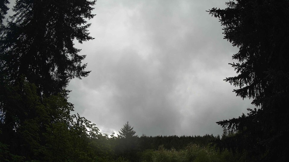 Pacific Northwest skyline timelapse frame from May 13th, 2026 at 1:45 PM