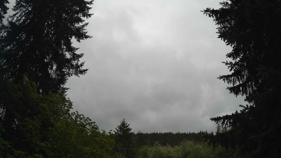 Pacific Northwest skyline timelapse frame from May 13th, 2026 at 2:15 PM