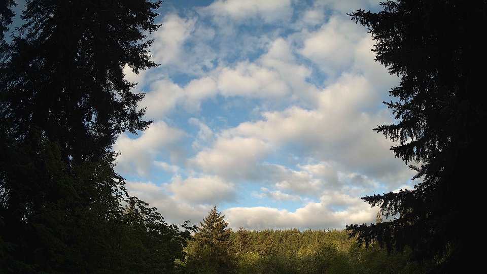 Pacific Northwest skyline timelapse frame from May 14th, 2026 at 7:00 AM