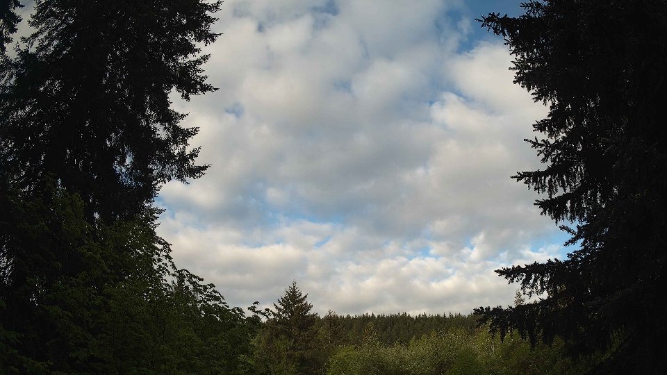 Pacific Northwest skyline timelapse frame from May 14th, 2026 at 7:30 AM