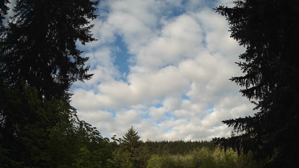 Pacific Northwest skyline timelapse frame from May 14th, 2026 at 7:45 AM