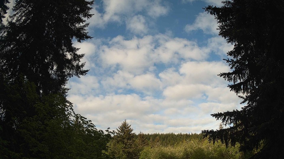 Pacific Northwest skyline timelapse frame from May 14th, 2026 at 8:00 AM