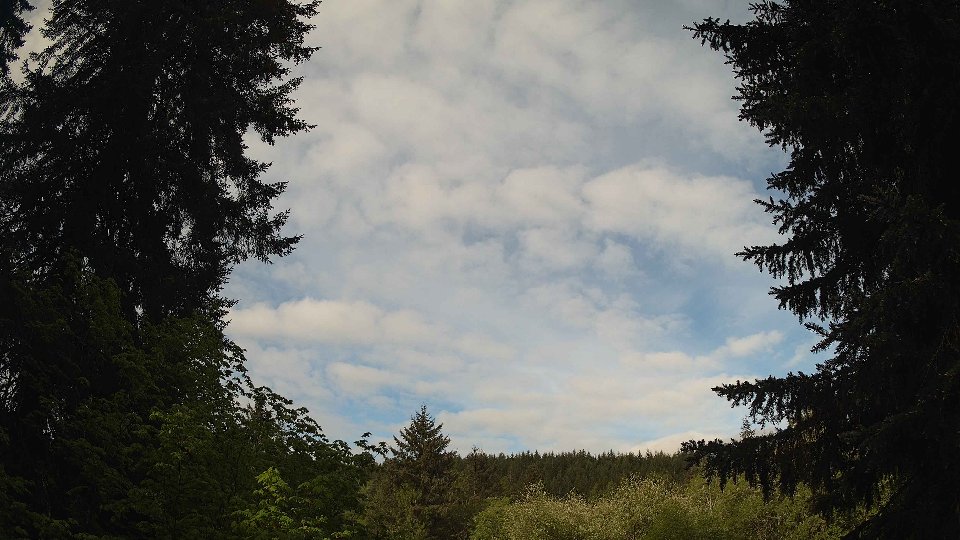 Pacific Northwest skyline timelapse frame from May 14th, 2026 at 8:15 AM