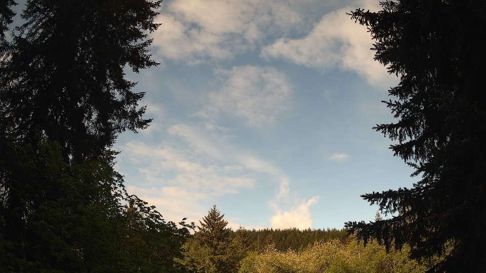 Pacific Northwest skyline timelapse frame from May 14th, 2026 at 8:30 AM