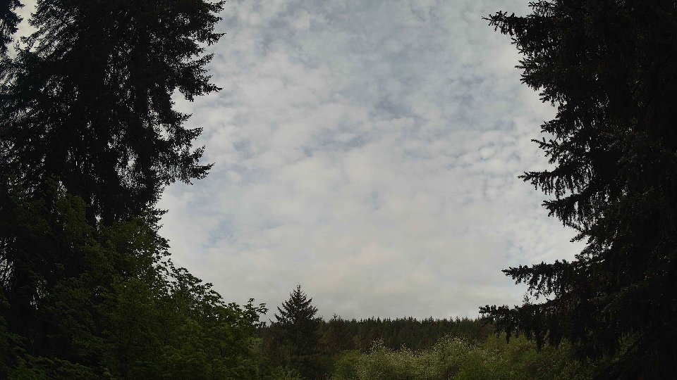 Pacific Northwest skyline timelapse frame from May 14th, 2026 at 10:00 AM