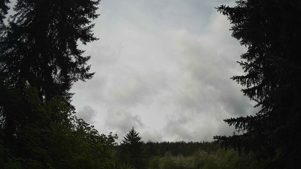 Pacific Northwest skyline timelapse frame from May 14th, 2026 at 10:45 AM