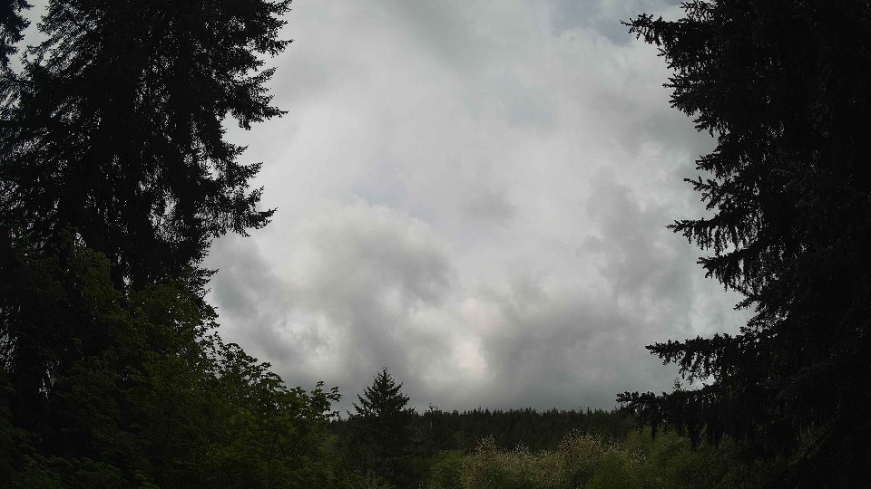 Pacific Northwest skyline timelapse frame from May 14th, 2026 at 11:00 AM