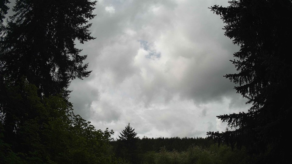 Pacific Northwest skyline timelapse frame from May 14th, 2026 at 11:15 AM