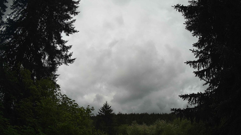 Pacific Northwest skyline timelapse frame from May 14th, 2026 at 11:30 AM