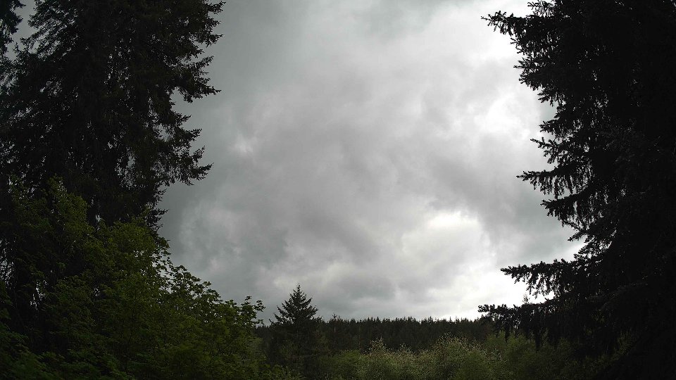 Pacific Northwest skyline timelapse frame from May 14th, 2026 at 12:00 PM