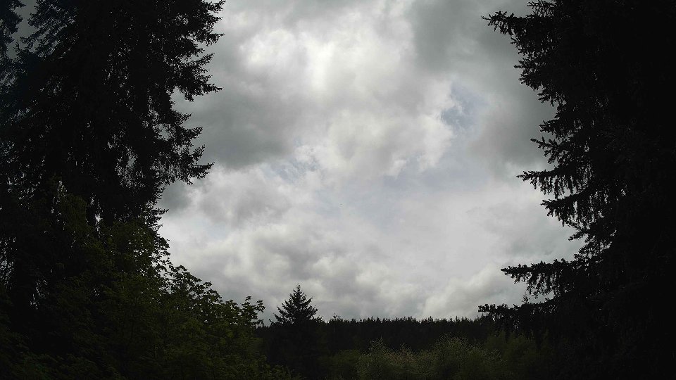 Pacific Northwest skyline timelapse frame from May 14th, 2026 at 12:15 PM