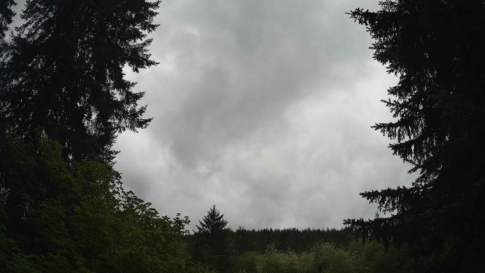 Pacific Northwest skyline timelapse frame from May 14th, 2026 at 1:30 PM
