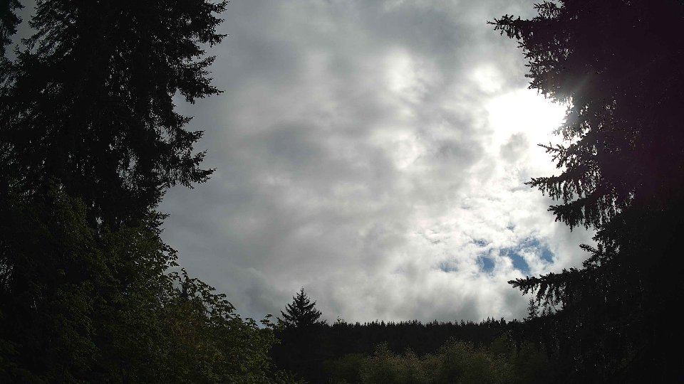 Pacific Northwest skyline timelapse frame from May 14th, 2026 at 5:00 PM