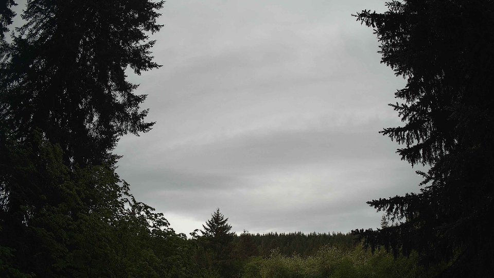 Pacific Northwest skyline timelapse frame from May 15th, 2026 at 8:00 AM