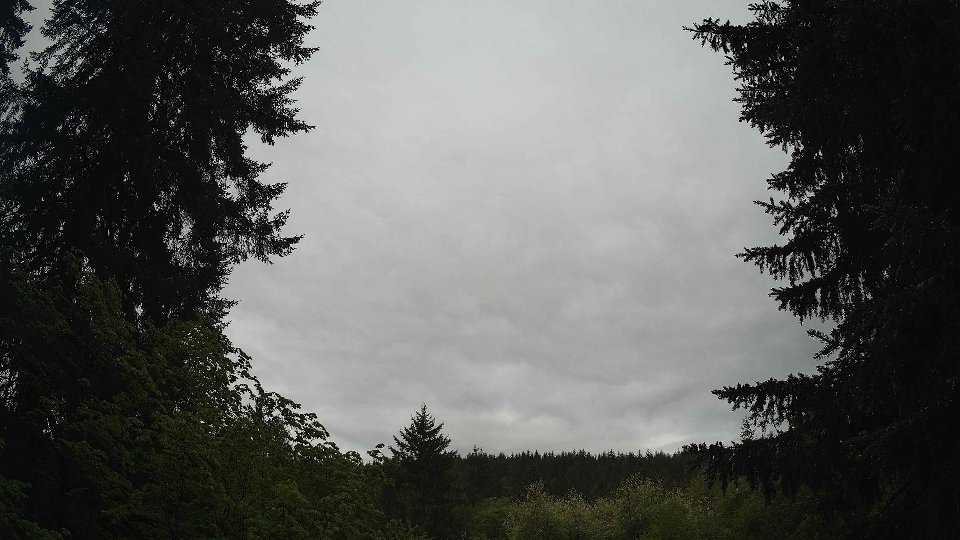Pacific Northwest skyline timelapse frame from May 15th, 2026 at 8:30 AM