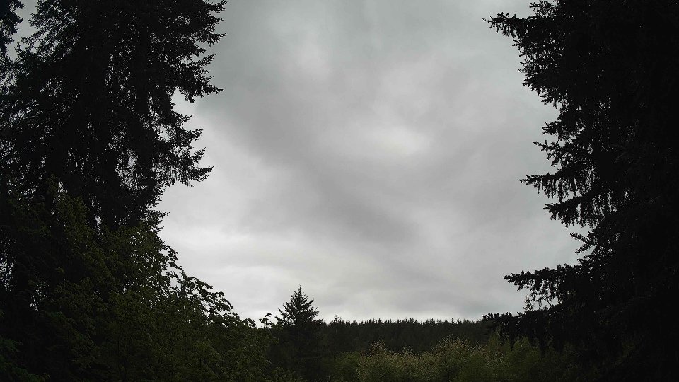 Pacific Northwest skyline timelapse frame from May 15th, 2026 at 8:45 AM