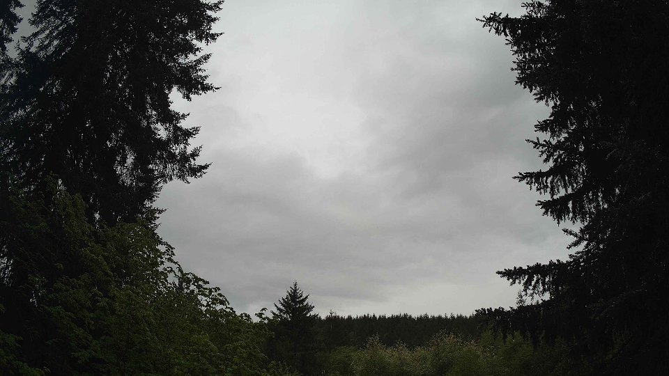 Pacific Northwest skyline timelapse frame from May 15th, 2026 at 9:00 AM