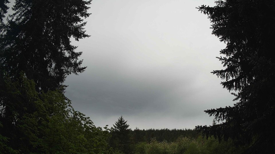 Pacific Northwest skyline timelapse frame from May 15th, 2026 at 9:30 AM
