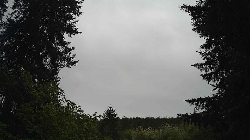 Pacific Northwest skyline timelapse frame from May 15th, 2026 at 10:00 AM