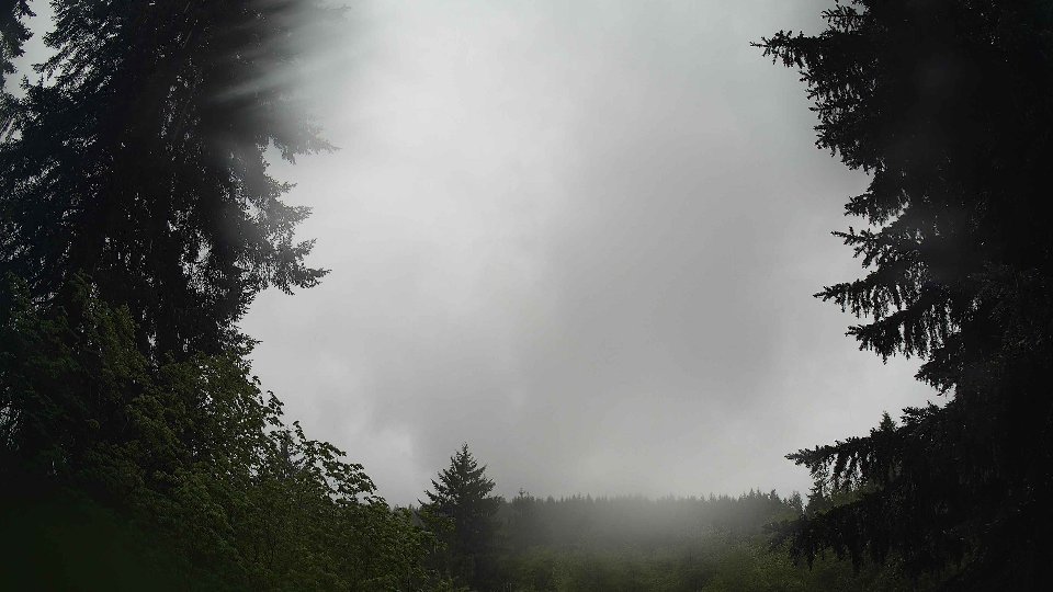 Pacific Northwest skyline timelapse frame from May 15th, 2026 at 11:15 AM