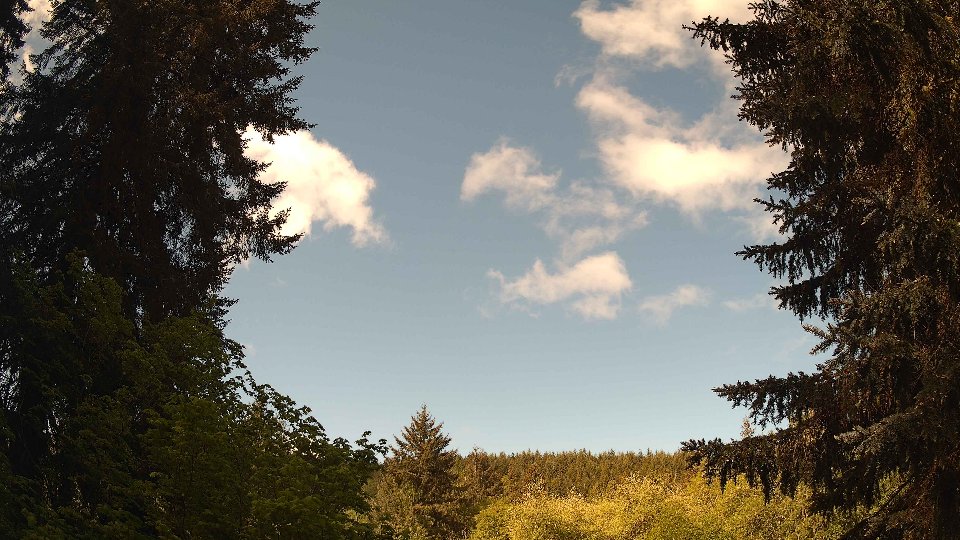 Pacific Northwest skyline timelapse on May 17, 2026 at 10:00 AM