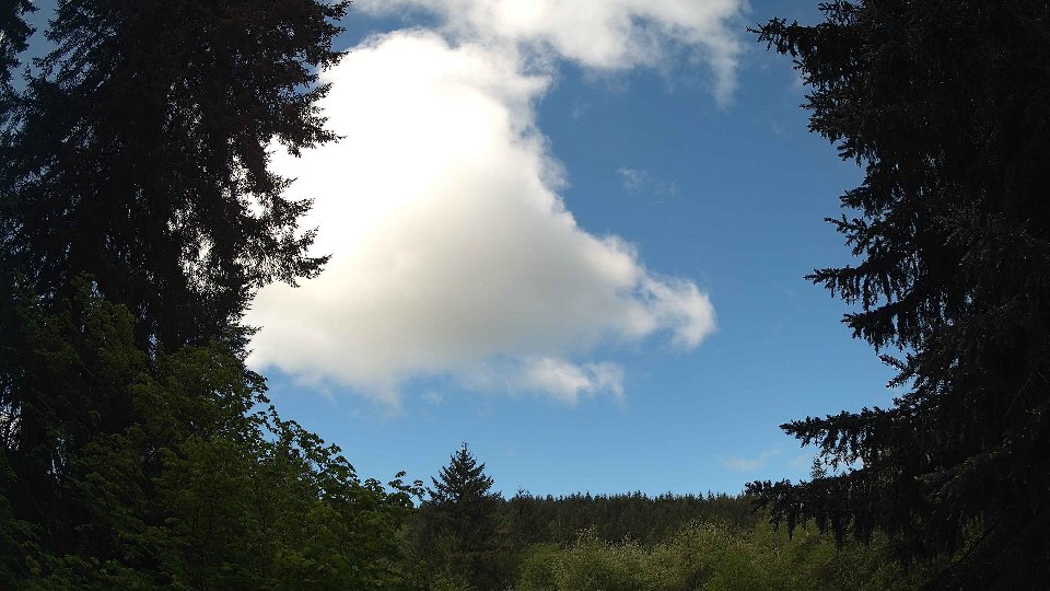 Pacific Northwest skyline timelapse on May 17, 2026 at 10:15 AM
