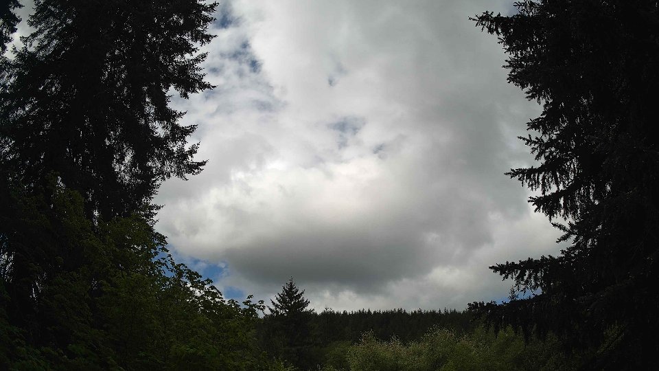 Pacific Northwest skyline timelapse on May 17, 2026 at 10:30 AM