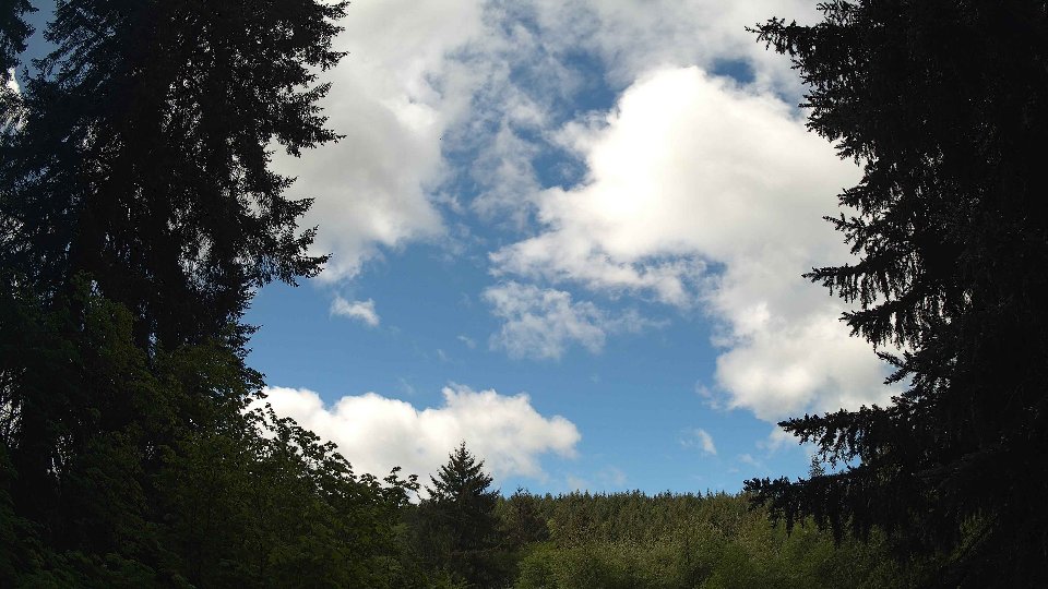 Pacific Northwest skyline timelapse on May 17, 2026 at 11:00 AM