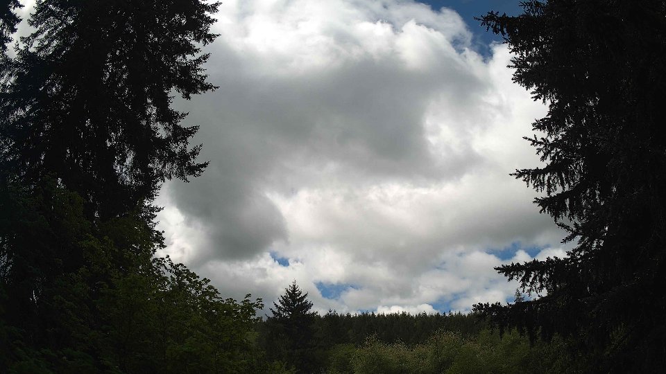 Pacific Northwest skyline timelapse on May 17, 2026 at 11:30 AM