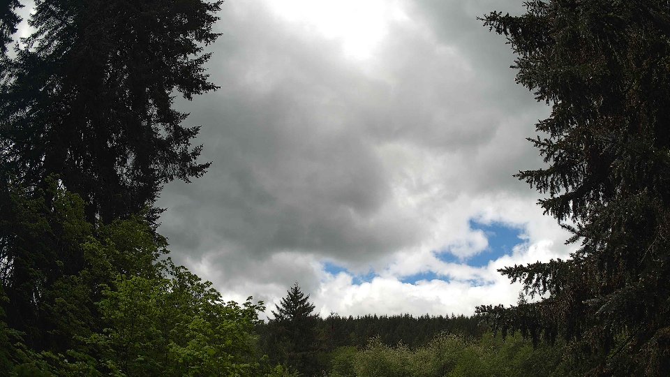 Pacific Northwest skyline timelapse on May 17, 2026 at 11:45 AM
