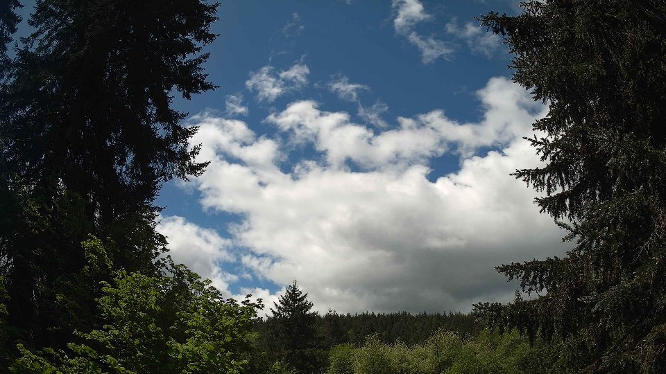 Pacific Northwest skyline timelapse on May 17, 2026 at 12:00 PM