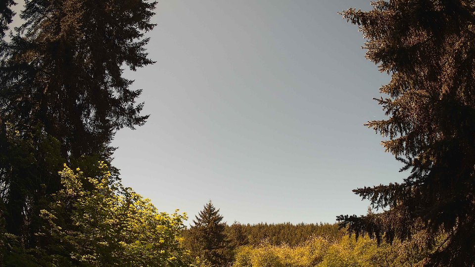 Pacific Northwest skyline timelapse on May 18, 2026 at 11:30 AM