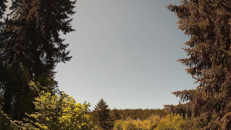 Pacific Northwest skyline timelapse on May 18, 2026 at 11:45 AM