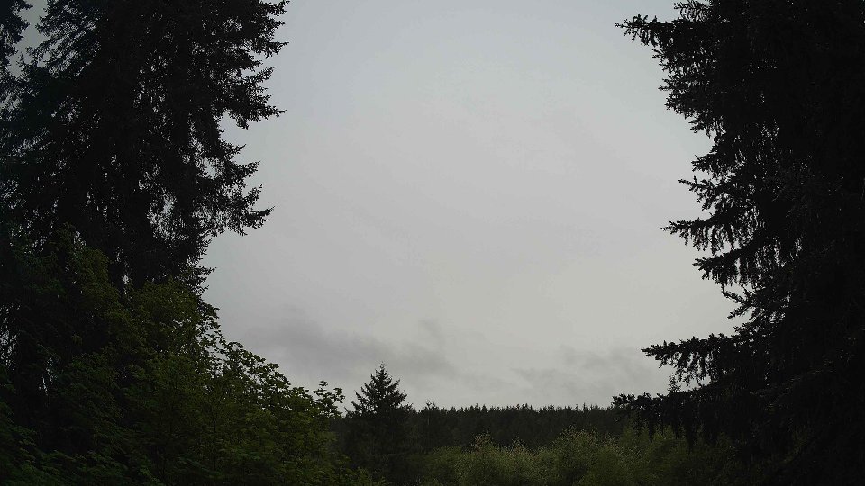 Pacific Northwest skyline timelapse on May 19, 2026 at 8:00 AM