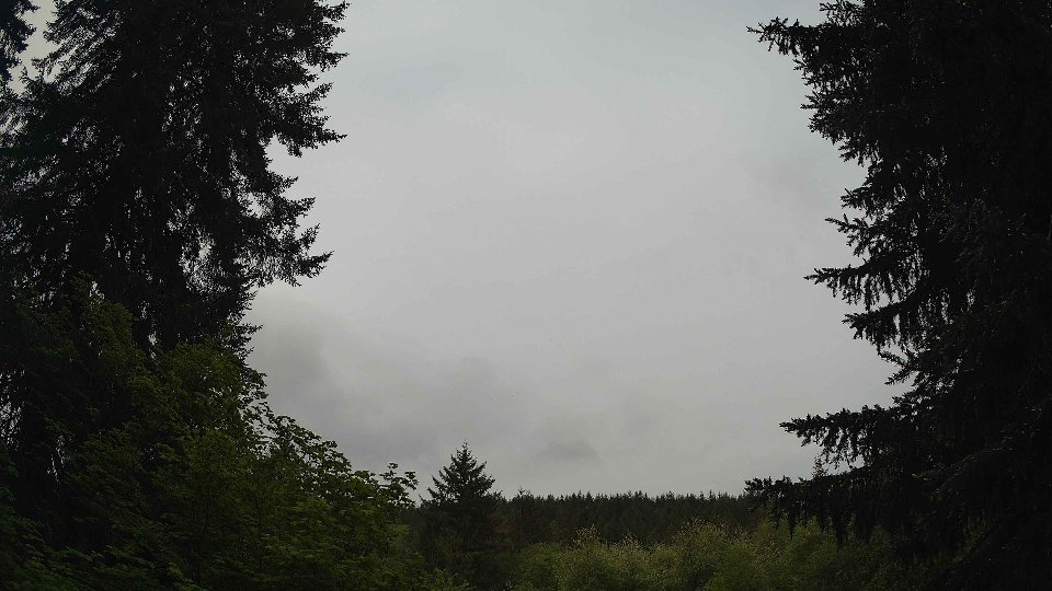 Pacific Northwest skyline timelapse on May 19, 2026 at 8:30 AM