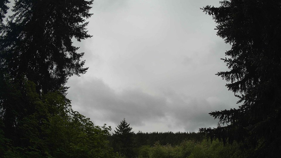 Pacific Northwest skyline timelapse on May 19, 2026 at 11:30 AM