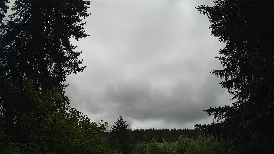 Pacific Northwest skyline timelapse on May 19, 2026 at 11:45 AM