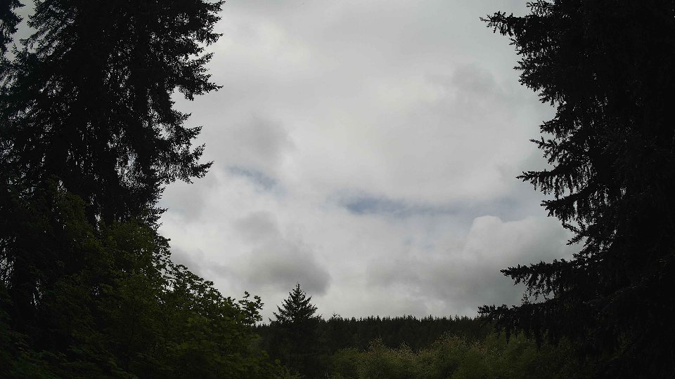 Pacific Northwest skyline timelapse on May 19, 2026 at 12:00 PM