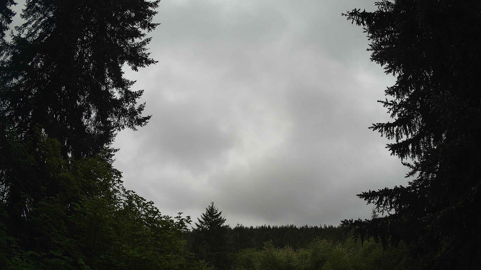 Pacific Northwest skyline timelapse on May 20, 2026 at 8:30 AM