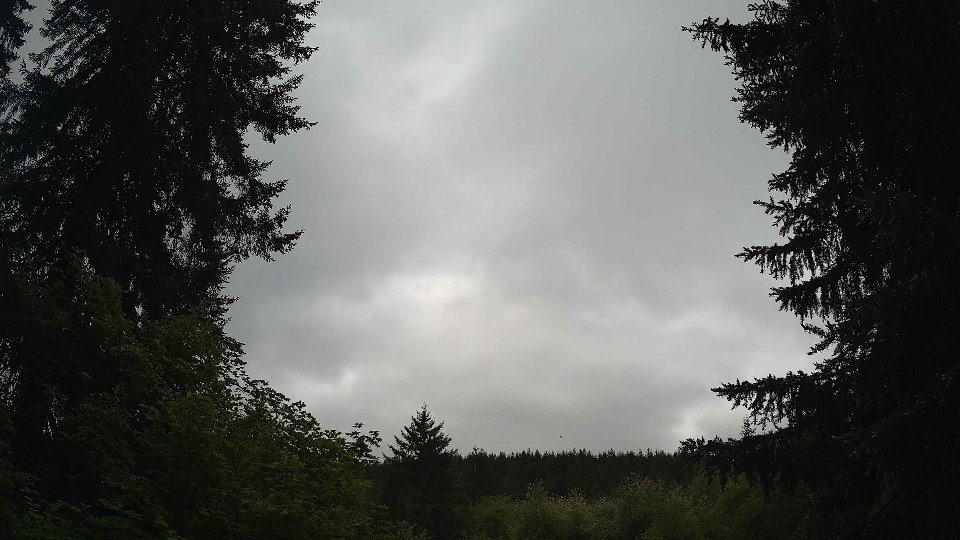 Pacific Northwest skyline timelapse on May 20, 2026 at 10:15 AM