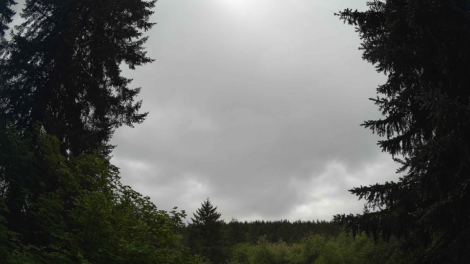 Pacific Northwest skyline timelapse on May 20, 2026 at 11:30 AM