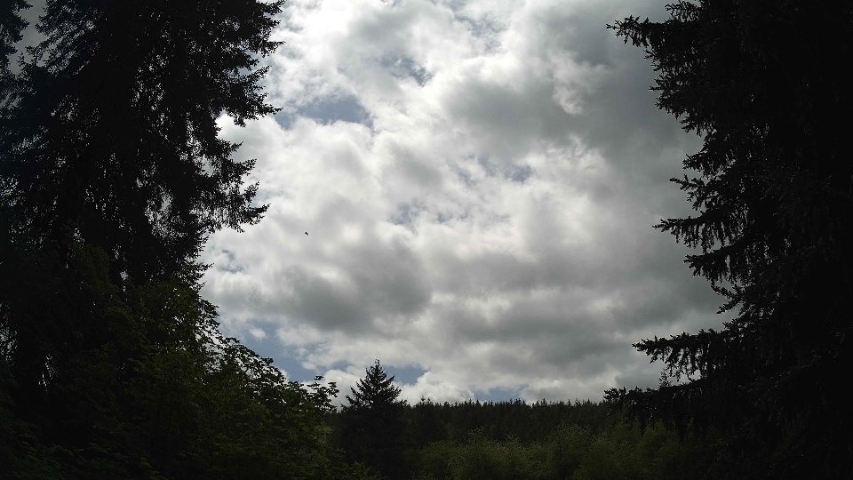 Pacific Northwest skyline timelapse on May 20, 2026 at 1:30 PM