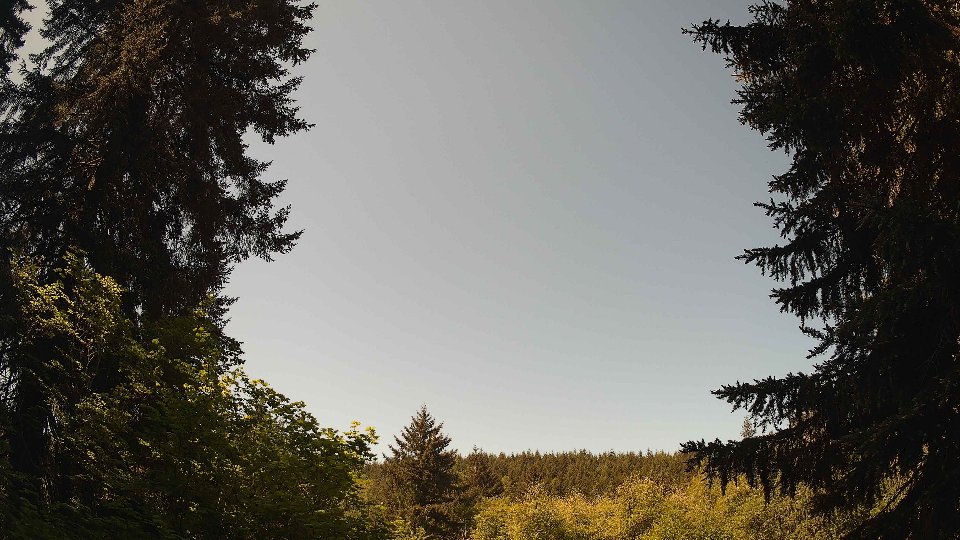 Pacific Northwest skyline timelapse on May 21, 2026 at 11:15 AM