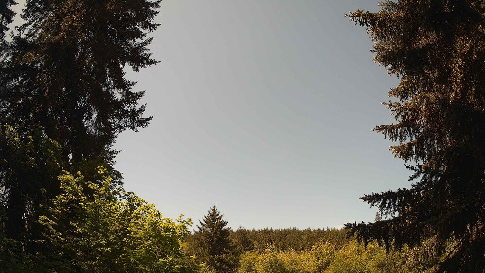 Pacific Northwest skyline timelapse on May 21, 2026 at 11:30 AM
