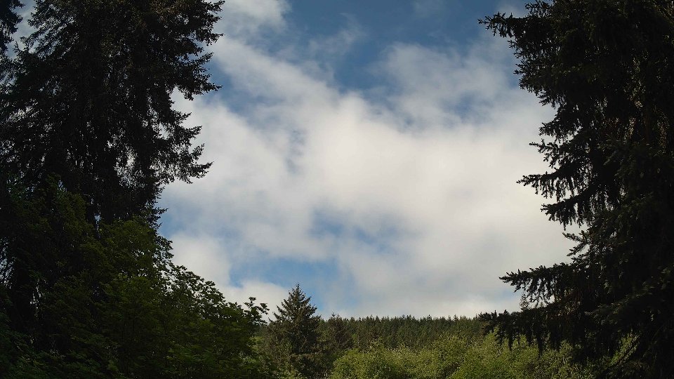 Pacific Northwest skyline timelapse on May 22, 2026 at 10:30 AM
