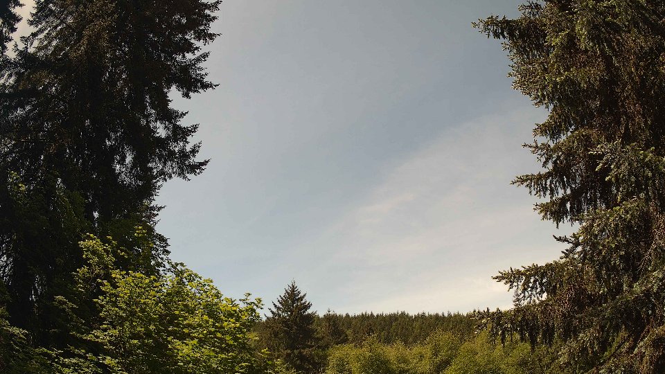 Pacific Northwest skyline timelapse on May 24, 2026 at 11:45 AM