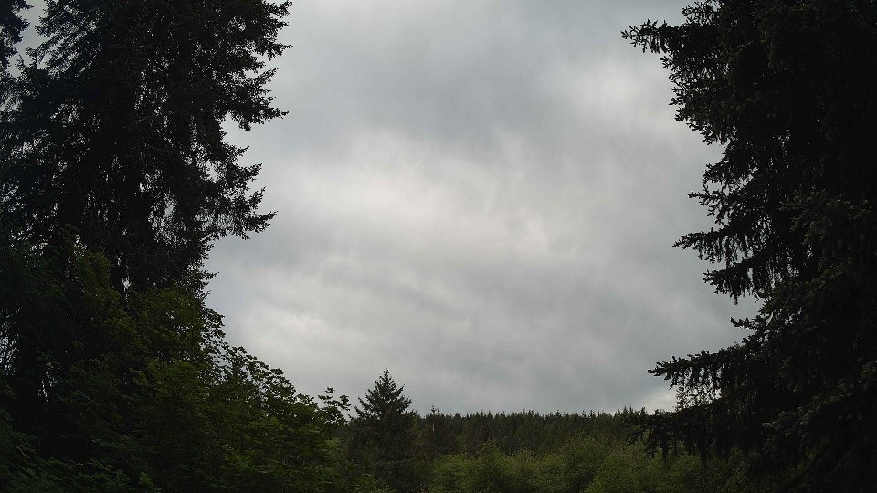 Pacific Northwest skyline timelapse on May 25, 2026 at 8:00 AM